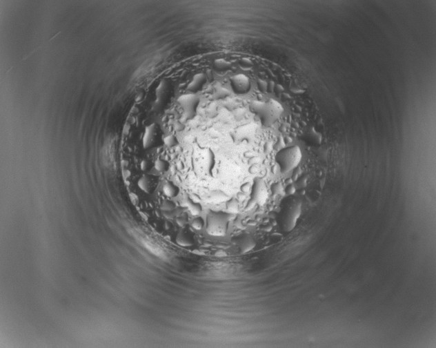 X0000078020286200611031504