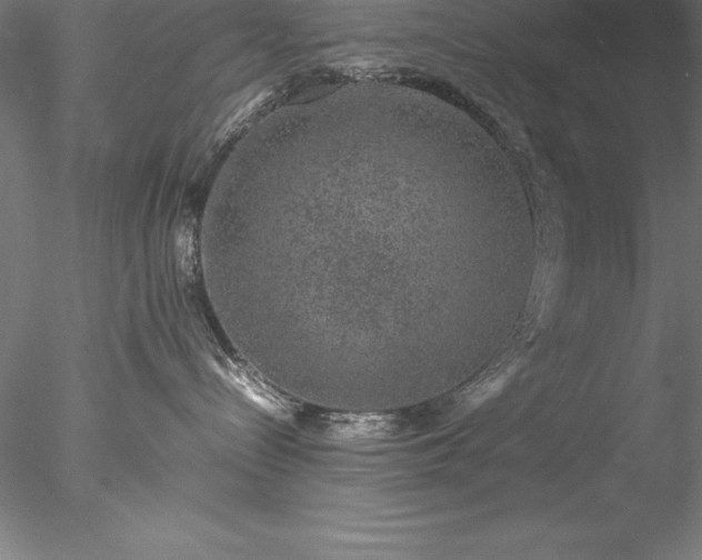 X0000078020288200611031504