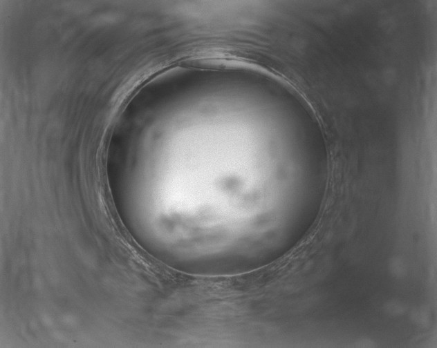 X0000078020289200611031503