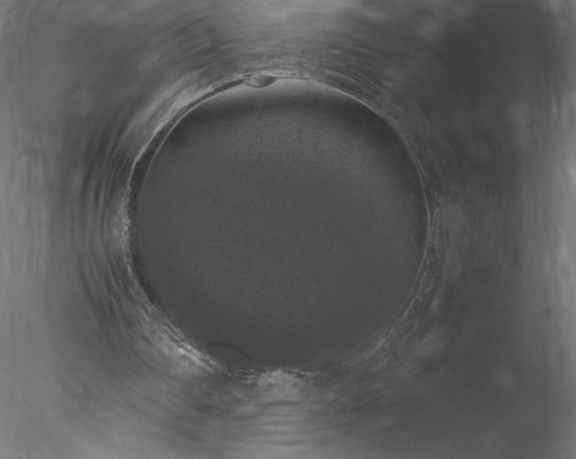 X0000078020290200611031503