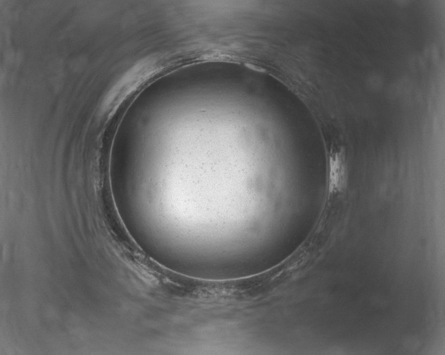 X0000078020291200611031503