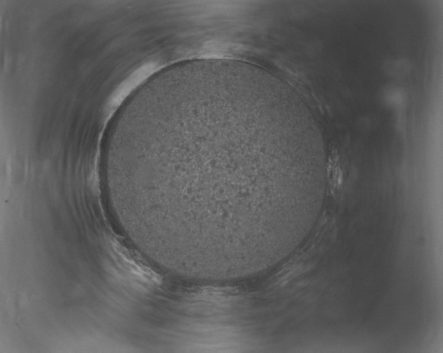 X0000078020292200611031503