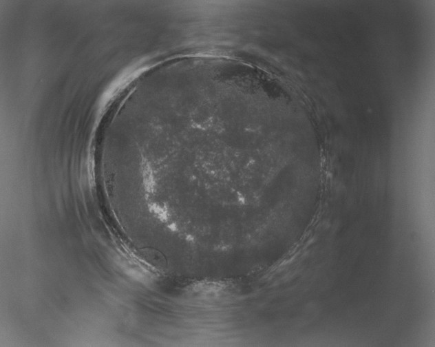 X0000078020294200611031503