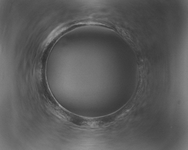 X0000078020295200611031503