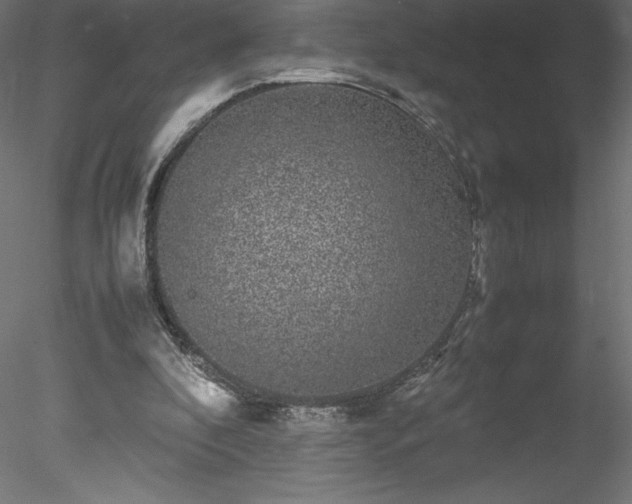 X0000078020296200611031503