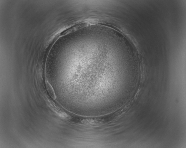 X0000078020297200611031503