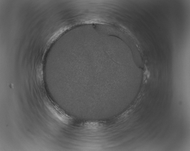 X0000078020298200611031503