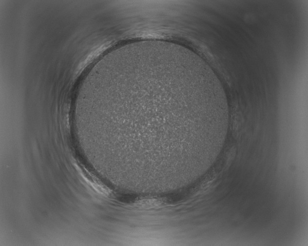 X0000078020299200611031503