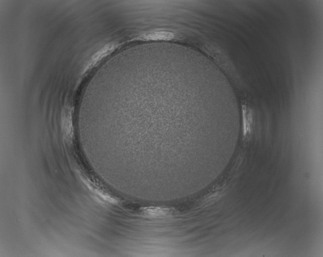 X0000078020300200611031503