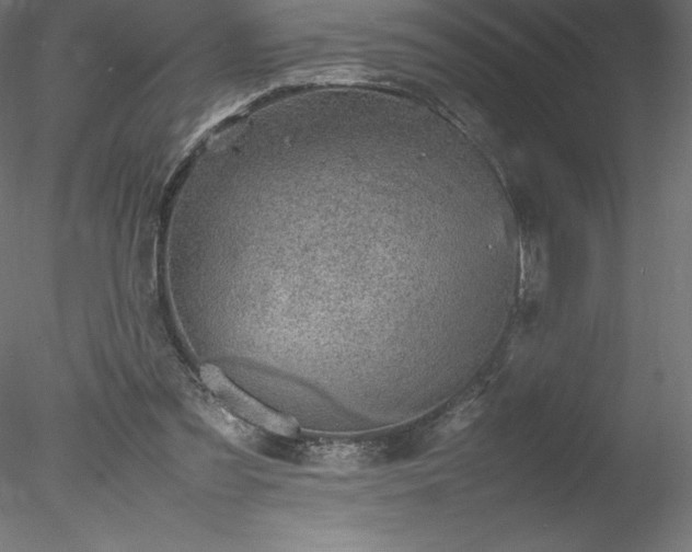 X0000078020301200611031503