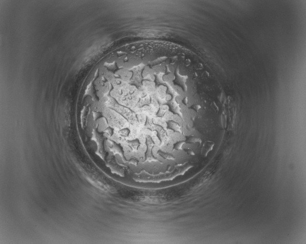 X0000078020303200611031503