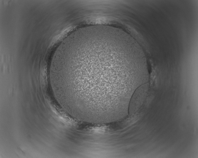 X0000078020306200611031503