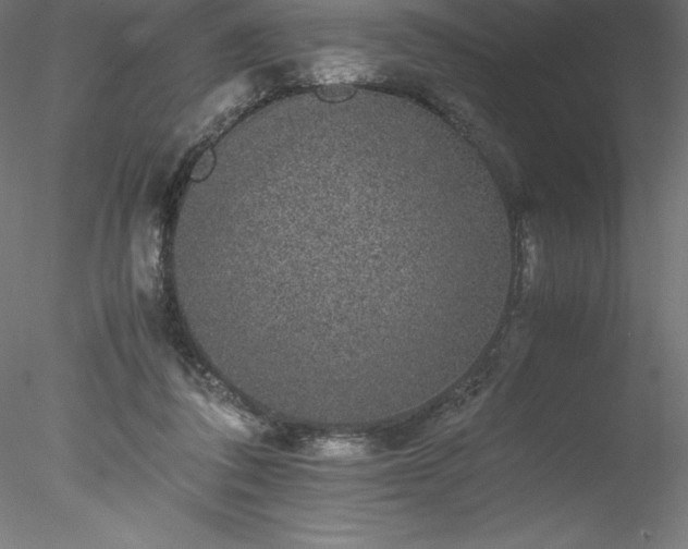 X0000078020308200611031503