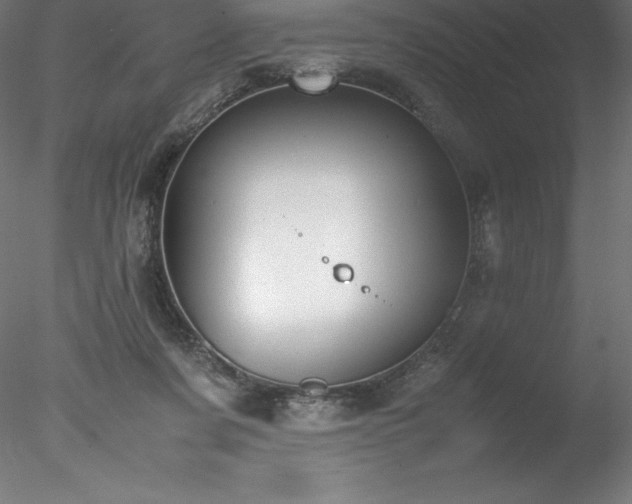 X0000078020311200611031503