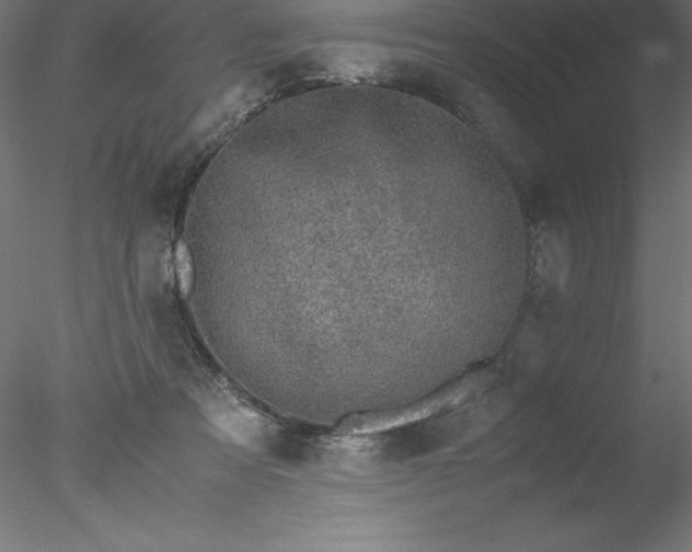 X0000078020313200611031503