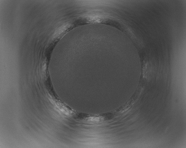 X0000078020314200611031503