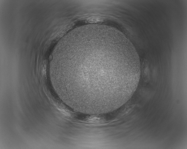 X0000078020315200611031503