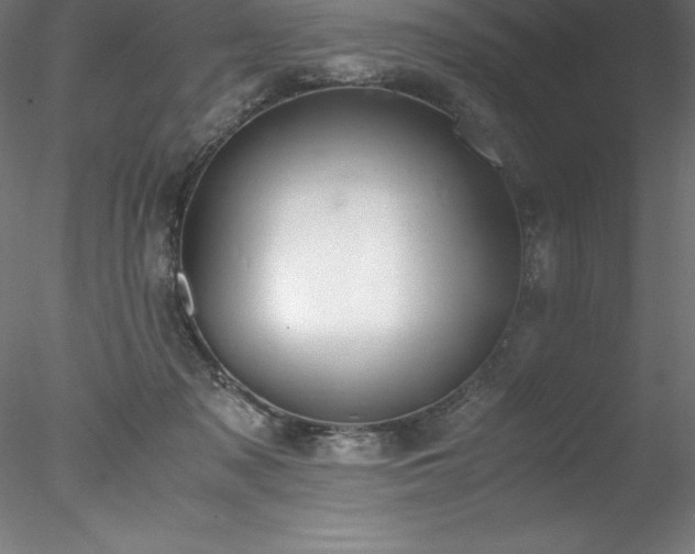 X0000078020317200611031503