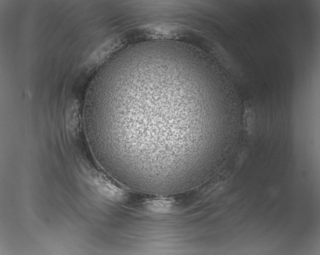 X0000078020318200611031503