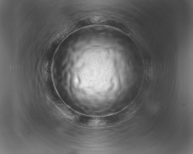 X0000078020319200611031503