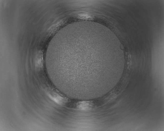 X0000078020320200611031503