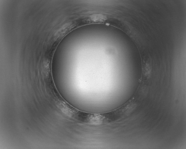 X0000078020321200611031503