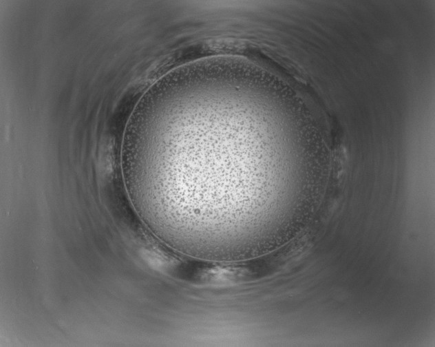 X0000078020323200611031503