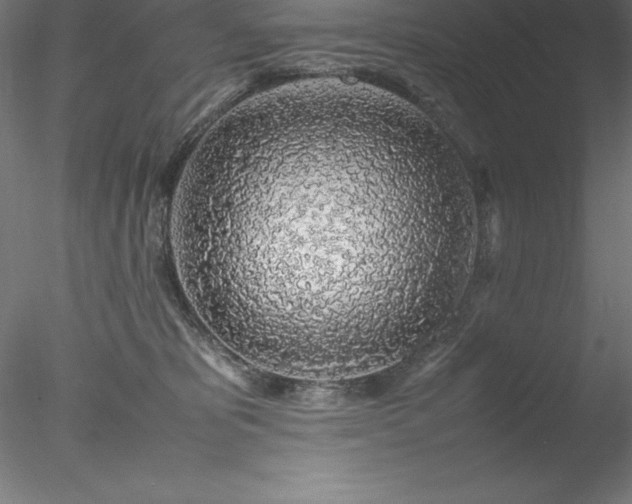 X0000078020325200611031502