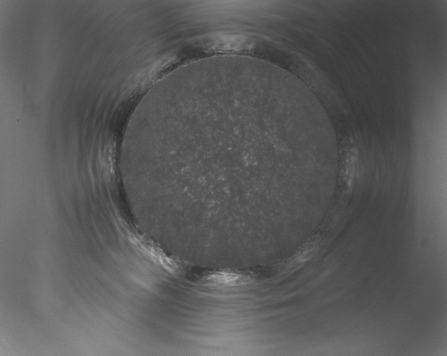 X0000078020326200611031502