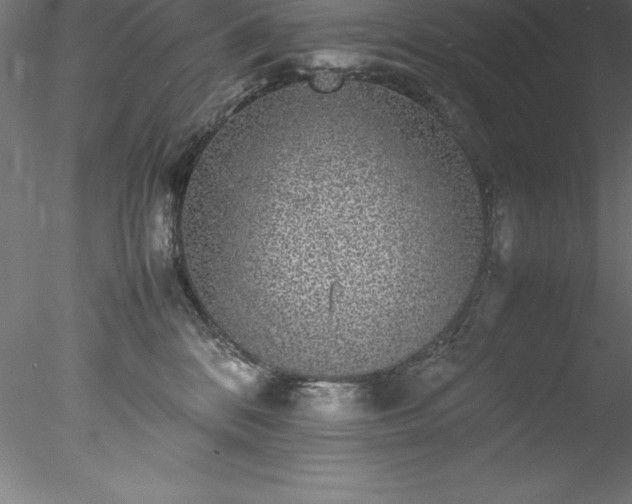 X0000078020328200611031502