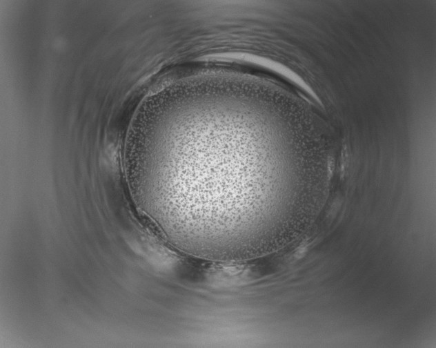 X0000078020329200611031502