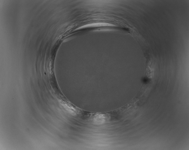 X0000078020330200611031502