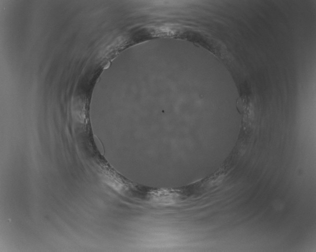 X0000078020331200611031502