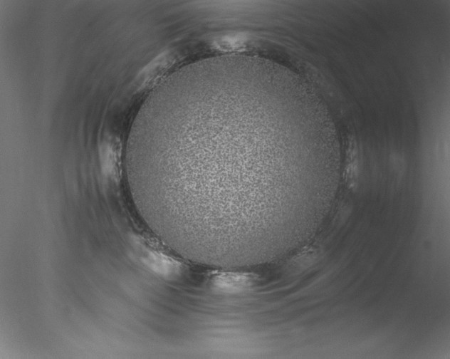 X0000078020332200611031502