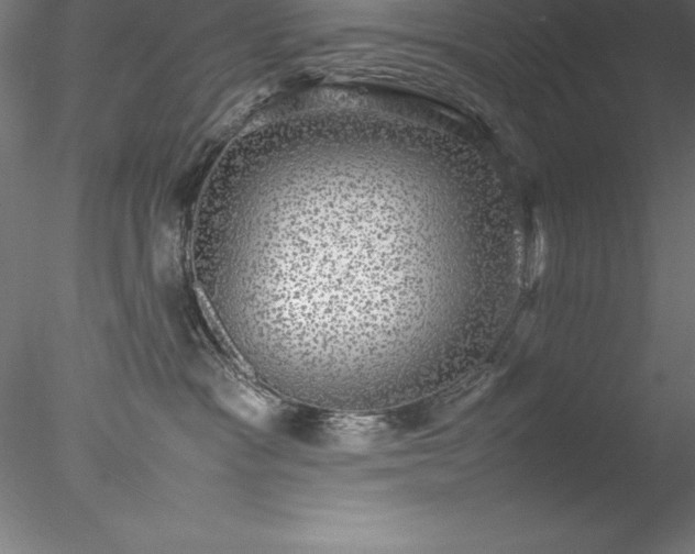 X0000078020333200611031502