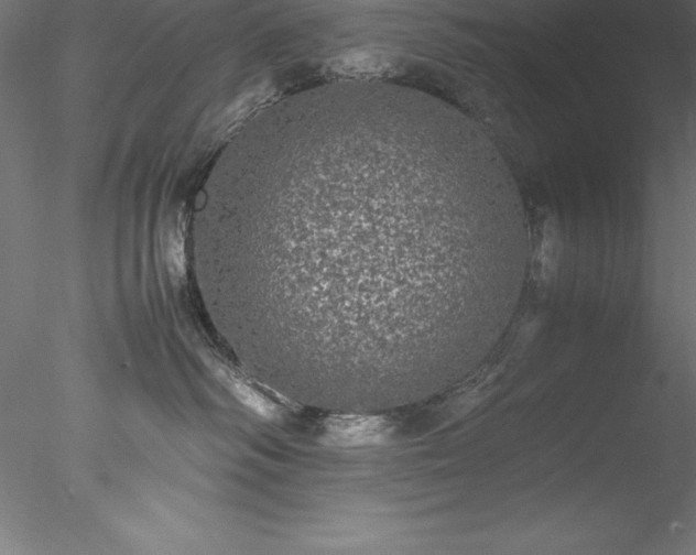 X0000078020334200611031502