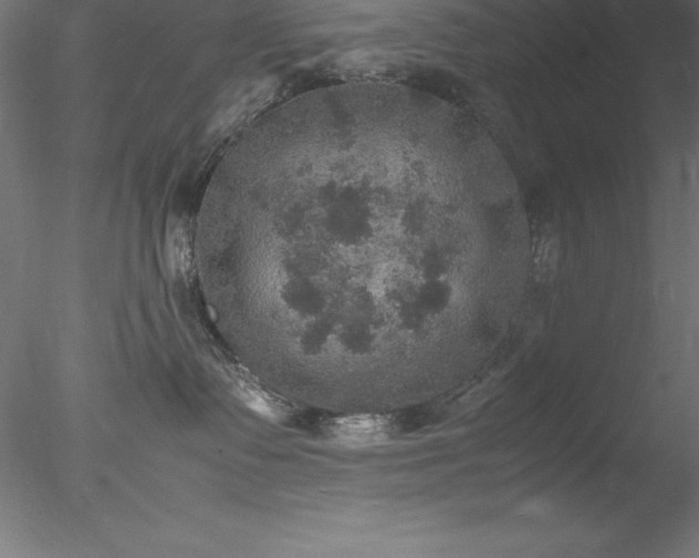 X0000078020335200611031502