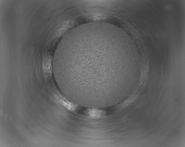 X0000078020336200611031502