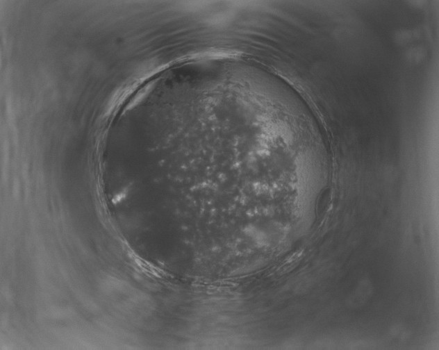 X0000078020337200611031501