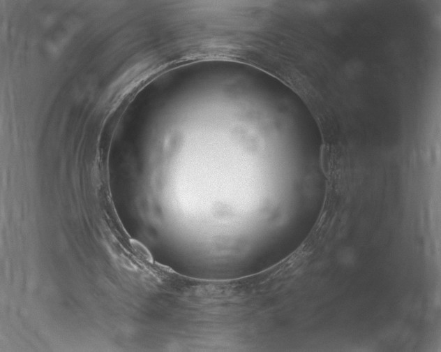 X0000078020338200611031501