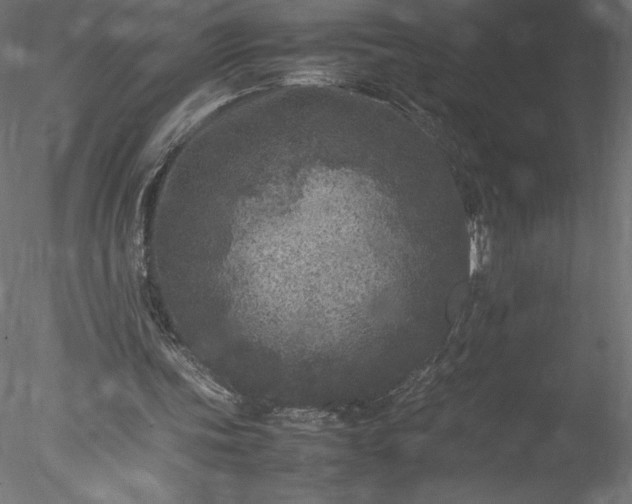 X0000078020339200611031502