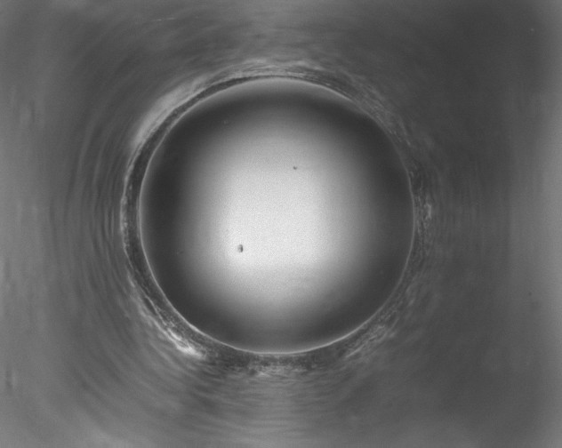 X0000078020340200611031502