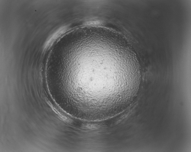 X0000078020341200611031502