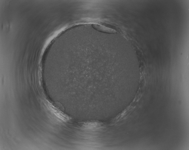 X0000078020342200611031502