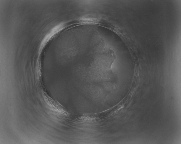 X0000078020343200611031502