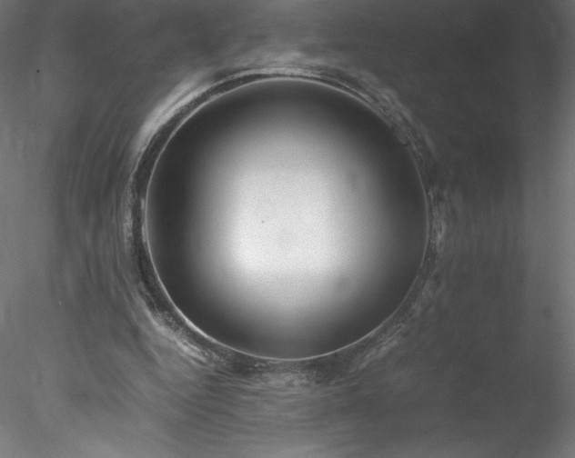 X0000078020344200611031502