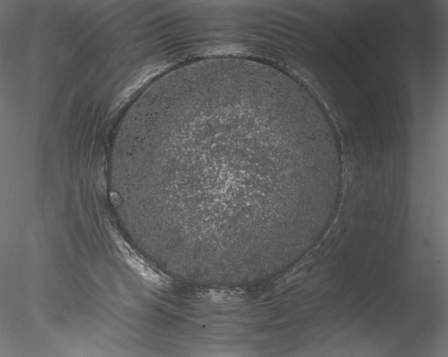 X0000078020345200611031502