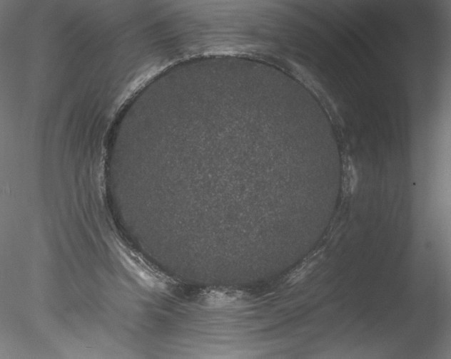 X0000078020346200611031502