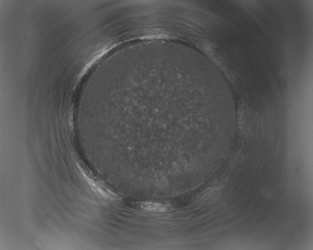 X0000078020347200611031502