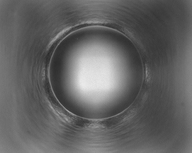 X0000078020348200611031502